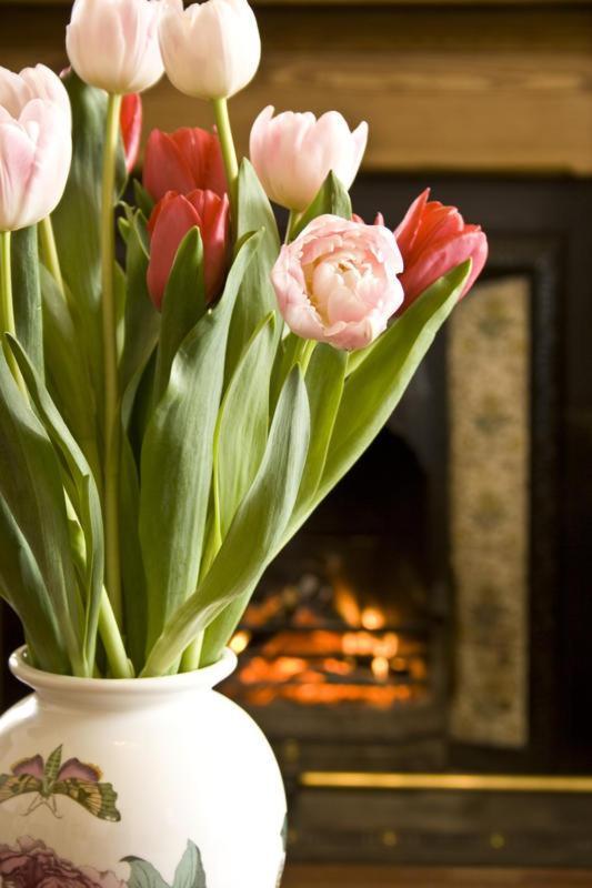 Dunallan Guest House Grantown-on-Spey Екстер'єр фото